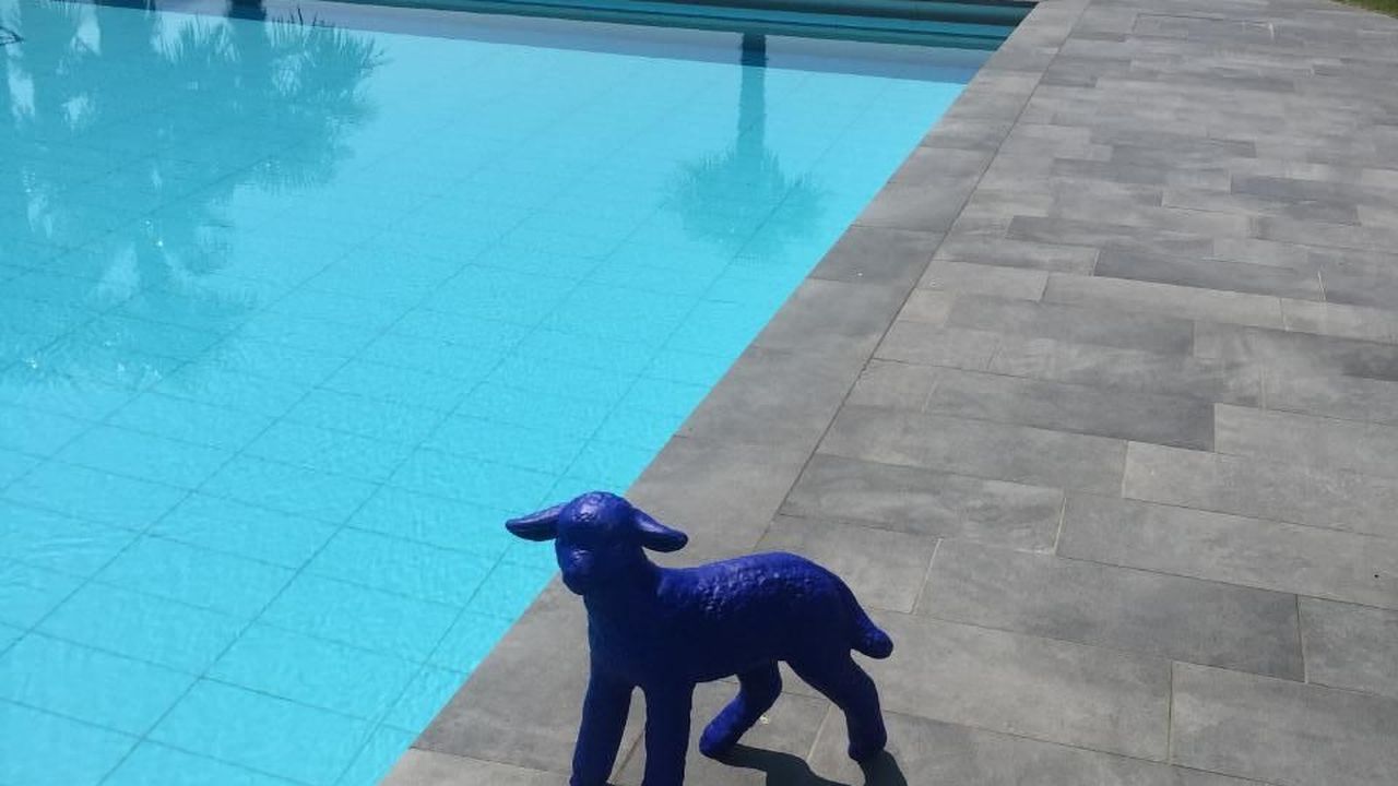 schwimmbad schwimmbad